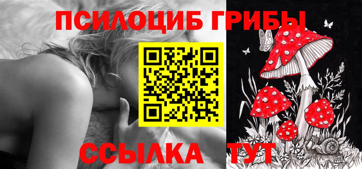 Галлюциногенные грибы MAGIC MUSHROOMS  Вход с VPN  Шахты 