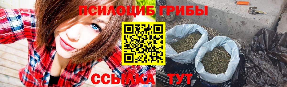 Псилоцибиновые грибы GOLDEN TEACHER Шахты